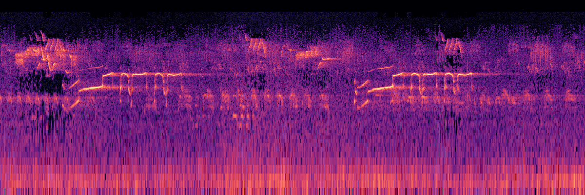 Spectrogram: Common Loon With Robust Chorus